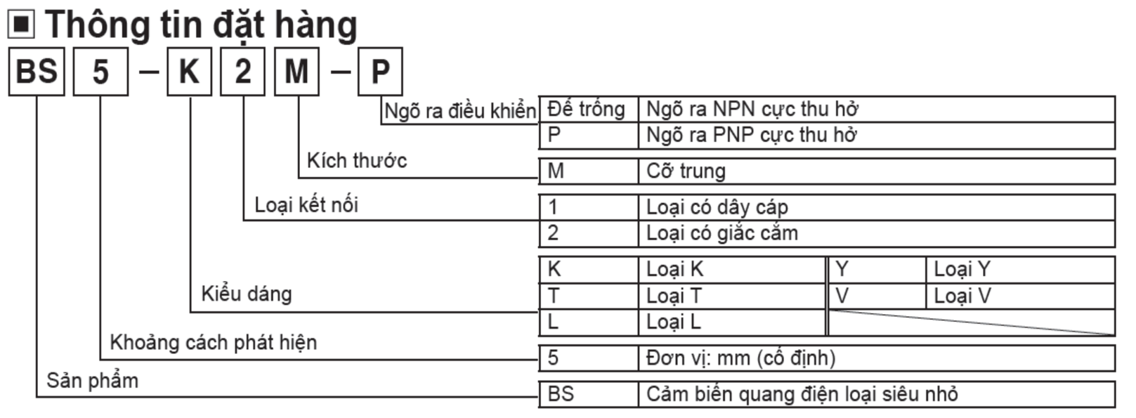 Thông tin đặt hàng Cảm biến BS5