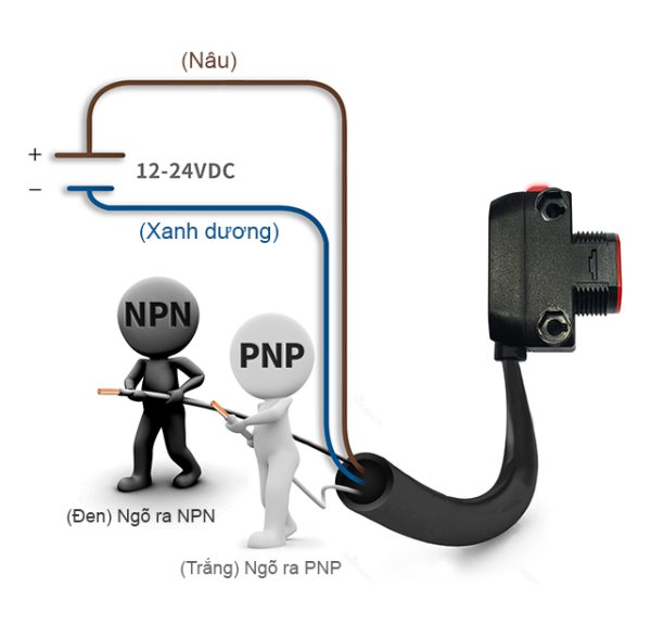 Ngõ ra đồng thời NPN / PNP mạch thu hở - Cảm biến quang điện BH